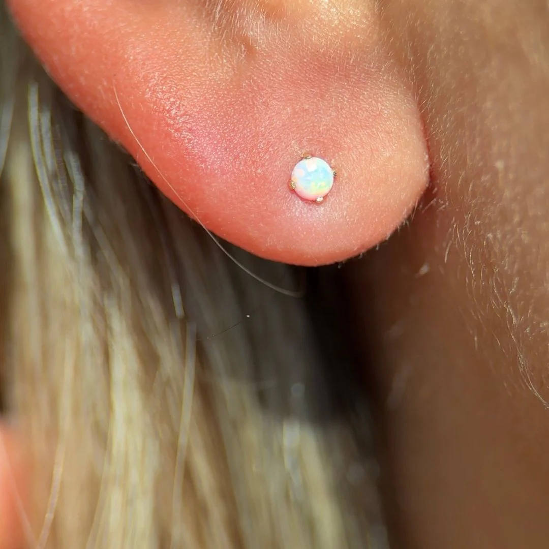 Yellow Gold Opal Prong Set Flat Back Earring - Image 9